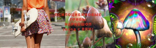 тгк Верея