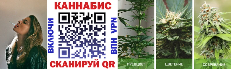 Шишки марихуана OG Kush  купить закладку  Чита 